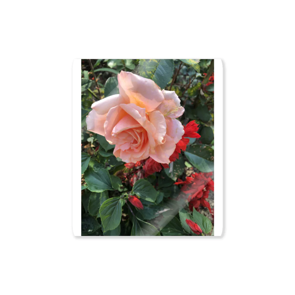pokorin_rinの薔薇園 Sticker