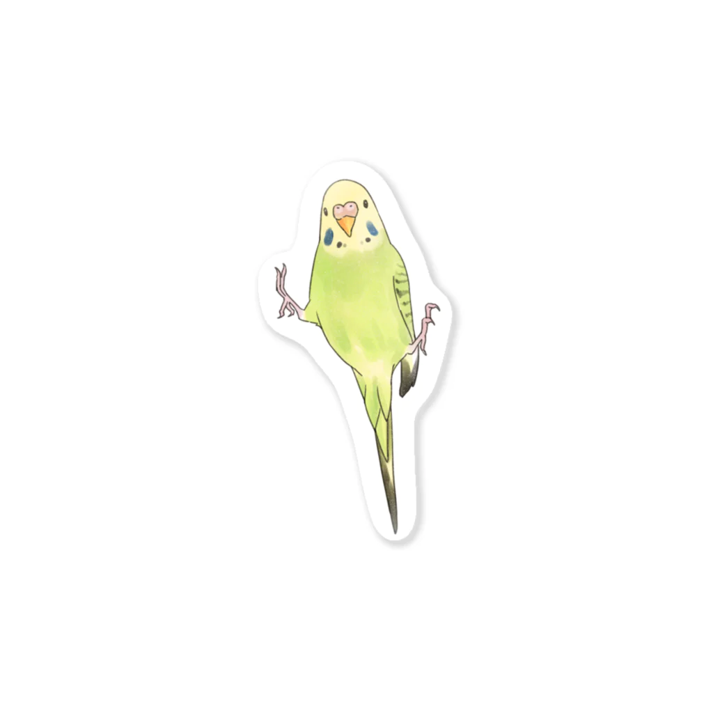 まめるりはことりのピタッとセキセイインコちゃん【まめるりはことり】 Sticker