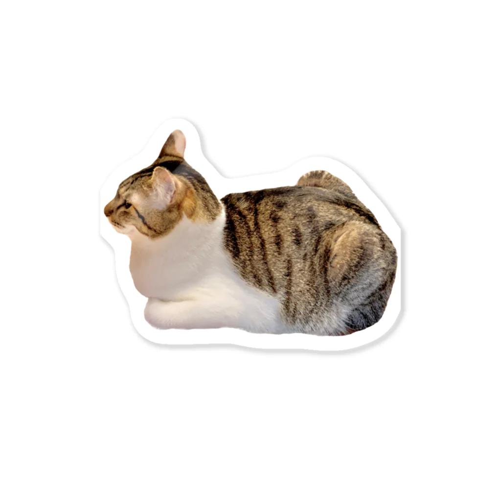 猫のさん君の猫のさん君 Sticker