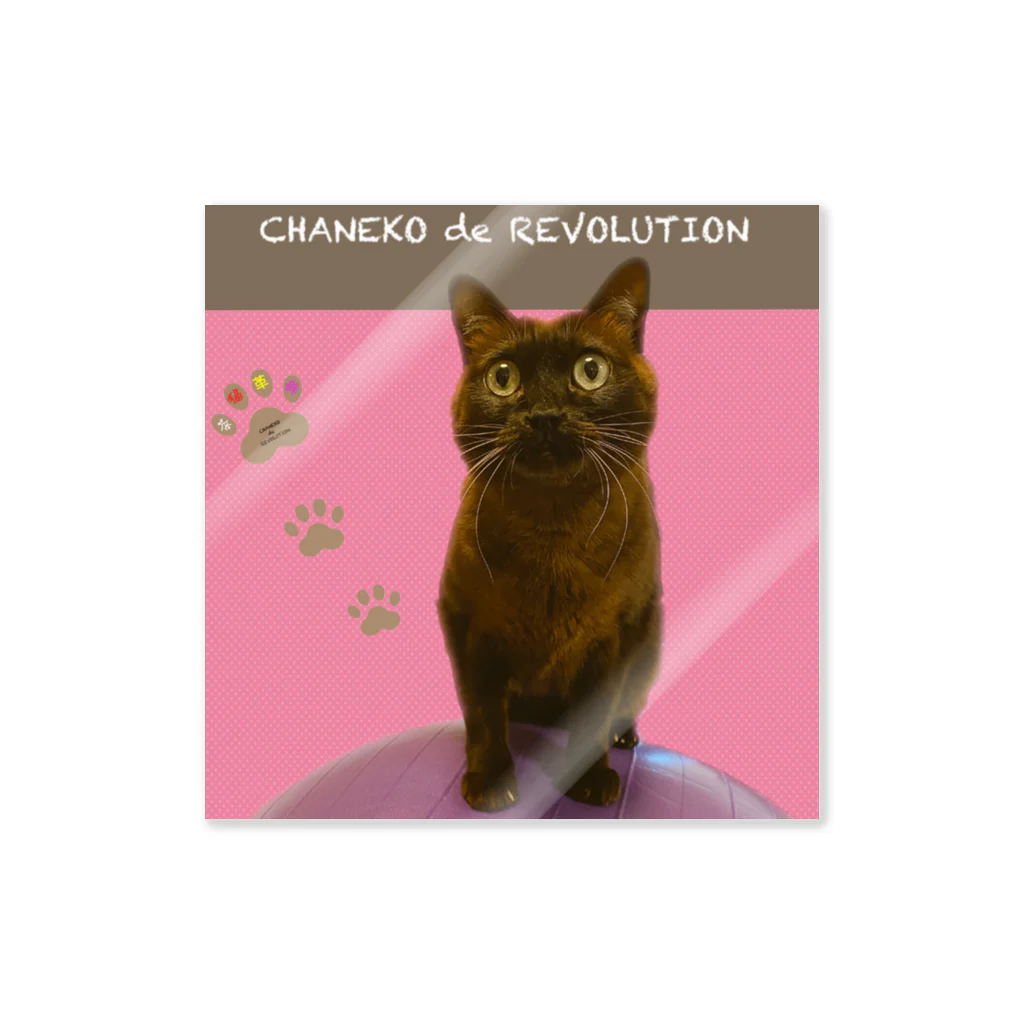 茶猫革命〜Chaneko de Revolution 〜の(　-`ω-)どや！ Sticker