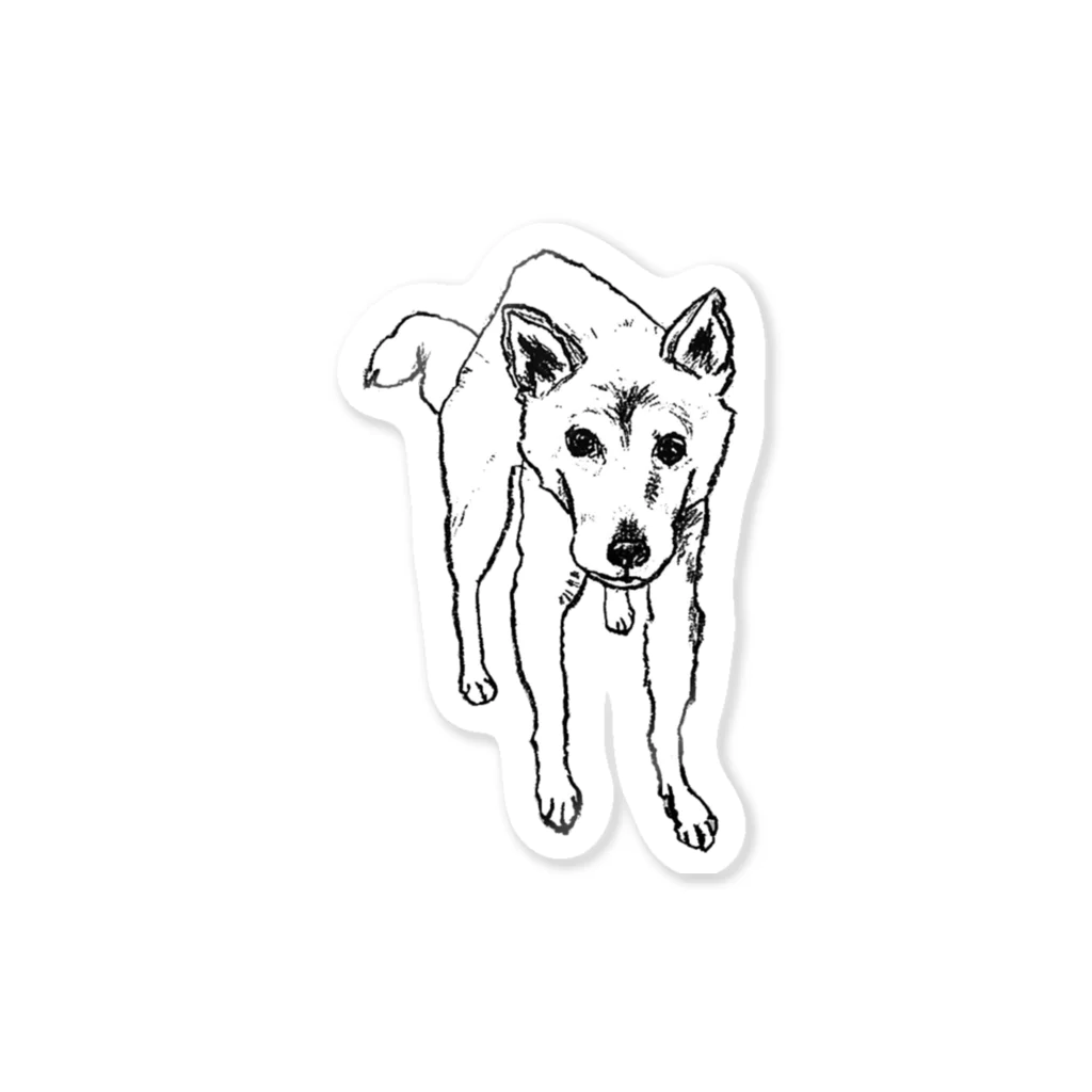 pastelfufuの柴犬『まなざし』 Sticker