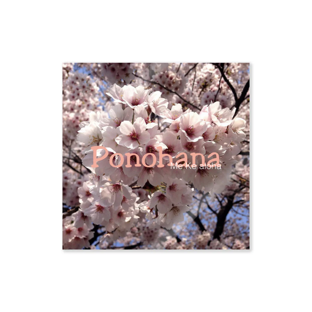 PonohanaのSAKURA w/ponohana Sticker