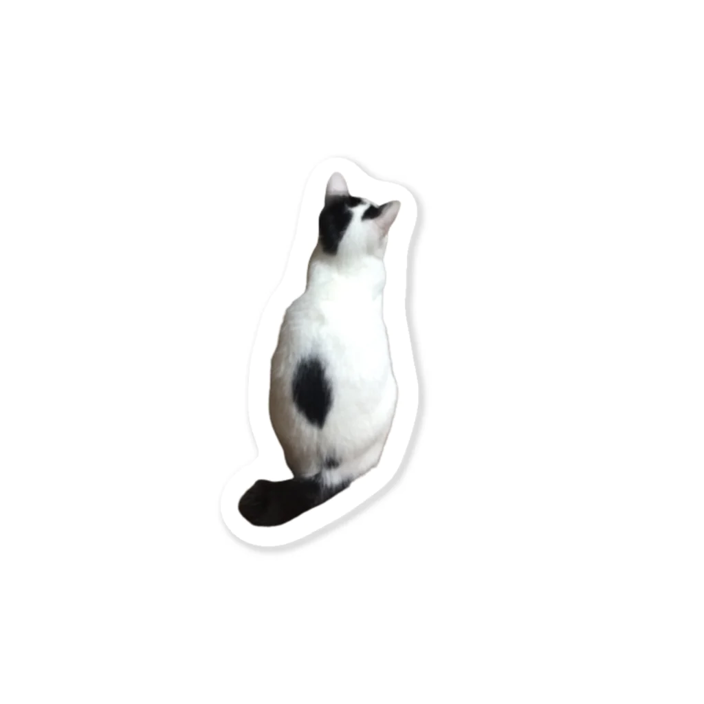 はなの化け猫　あめの後ろ姿 Sticker