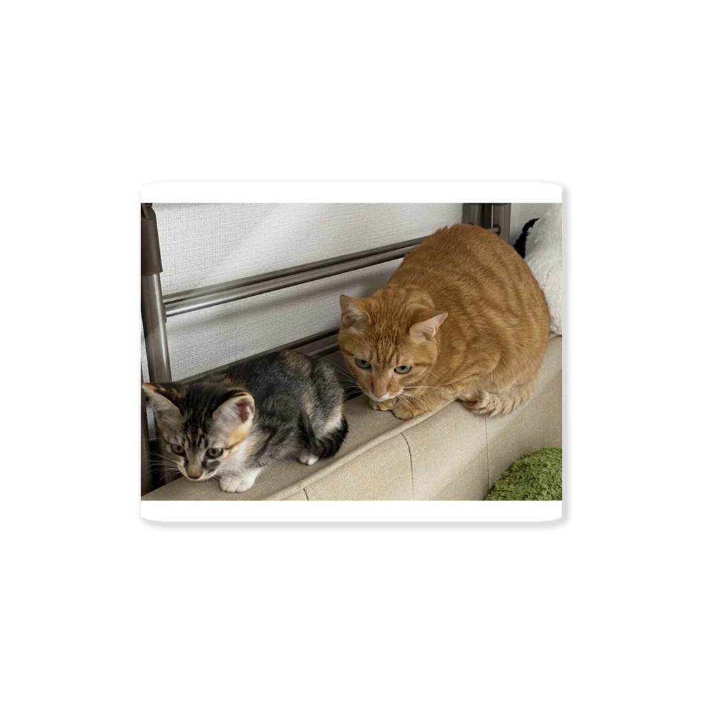 猫3匹と暮らす夫婦のきなこ隊長とミケ茶隊員 Sticker