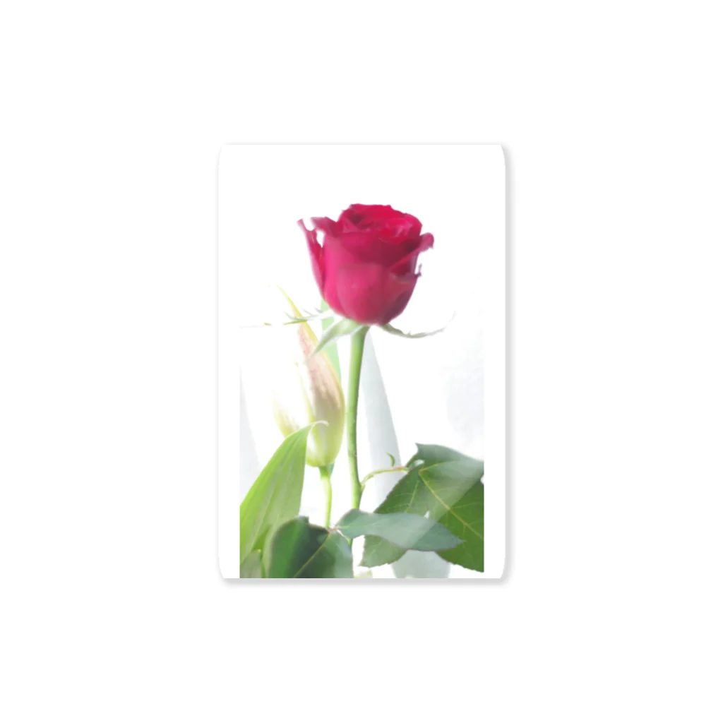 007f89_8の薔薇 Sticker