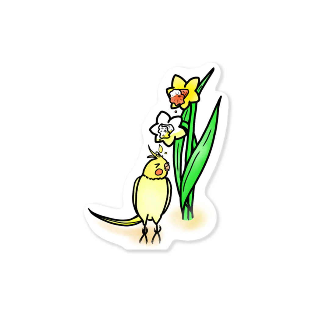 Lily bird（リリーバード）の水仙の雫で染まるオカメインコ① ステッカー
