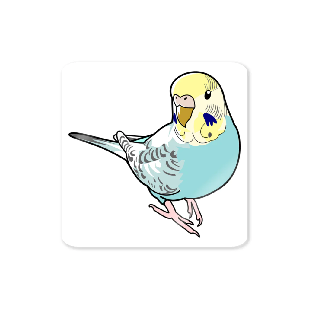 タカエリのセキセイインコ ステッカー