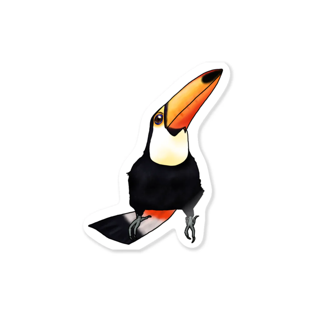 Lily bird（リリーバード）のキリッ✨オニオオハシ Sticker