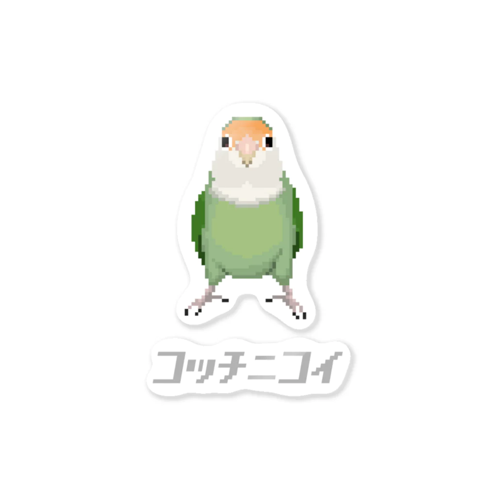 たかはらのこっちに来て欲しいコザクラインコ　シーグリーン Sticker