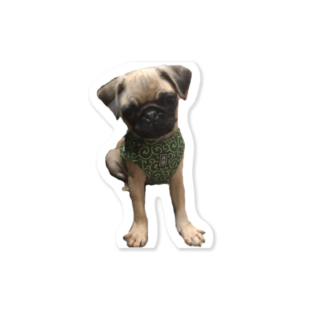 fashionista0723のpug🐶パグ Sticker