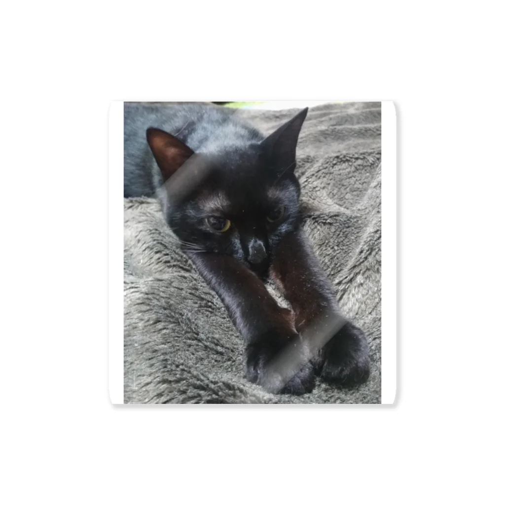 Tottemokanataの黒猫ぱんち Sticker