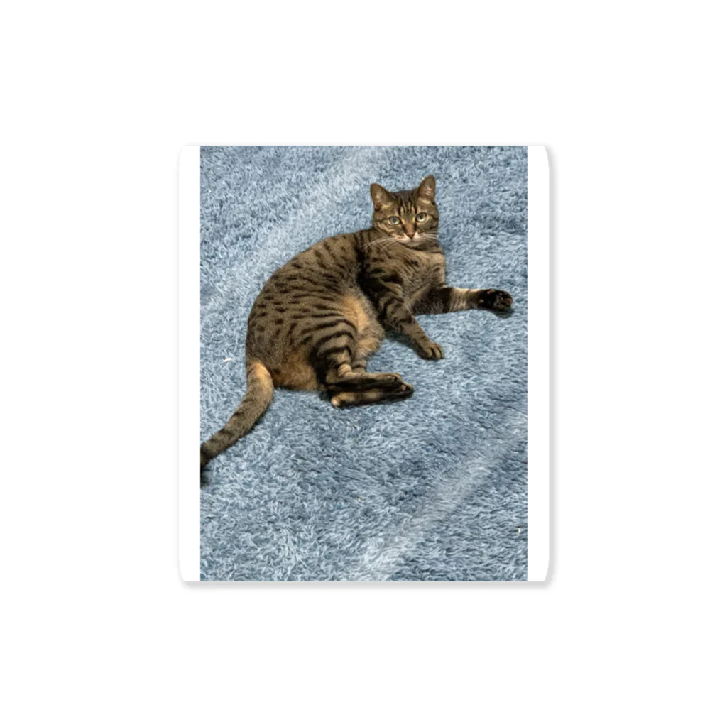 飼い猫の飼い猫2 Sticker