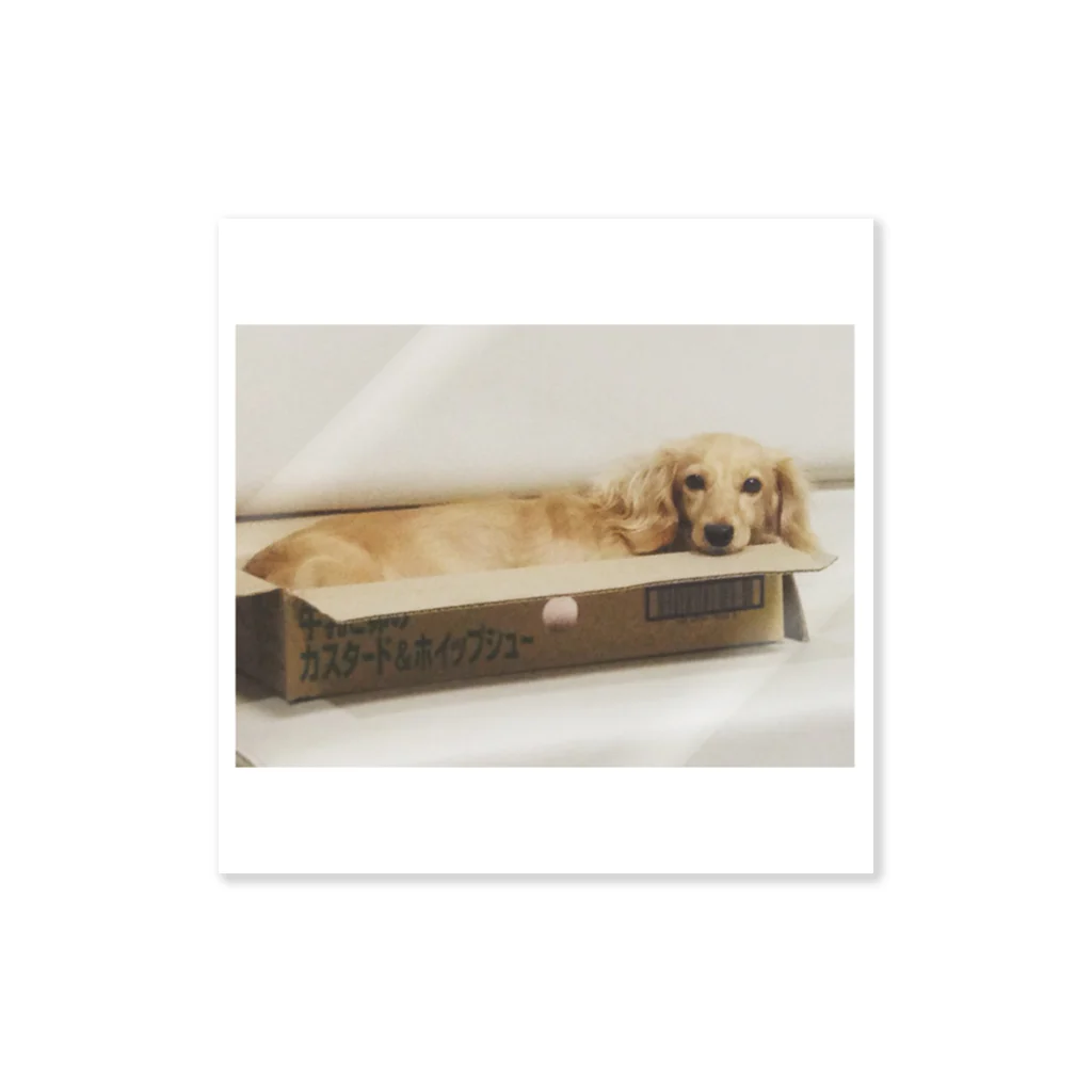 月が星を蝕べる時のうちの犬 Sticker