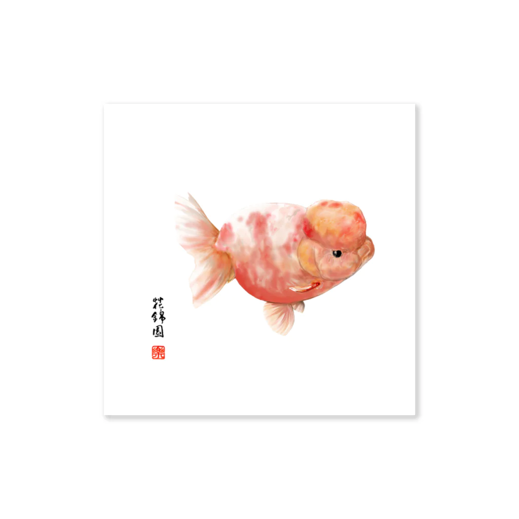 花錦園　～Kakin-en～の【金魚】桜錦～ひとひら舞いて・・～ Sticker