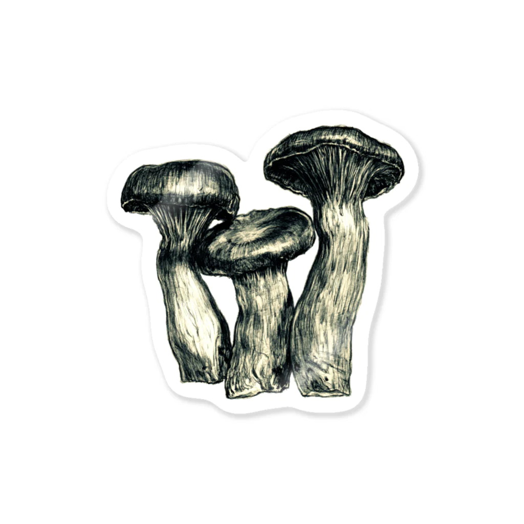 [ DDitBBD. ]のPleurotus eryngii ステッカー