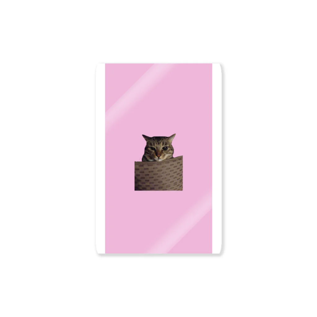 anapoのピンク版なネコ Sticker