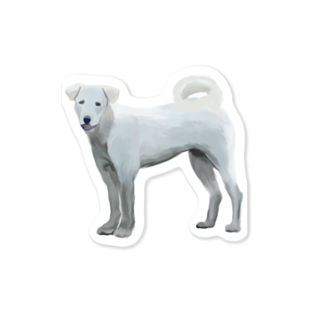 PADKA（ぱだか）のWhite Dog ふんわり白犬 ステッカー