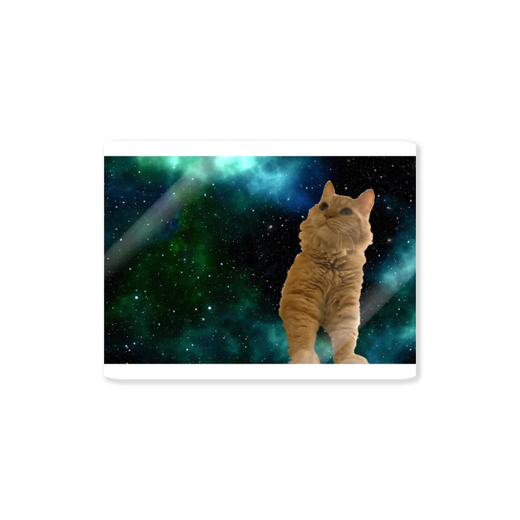 メイロの宇宙タマ Sticker