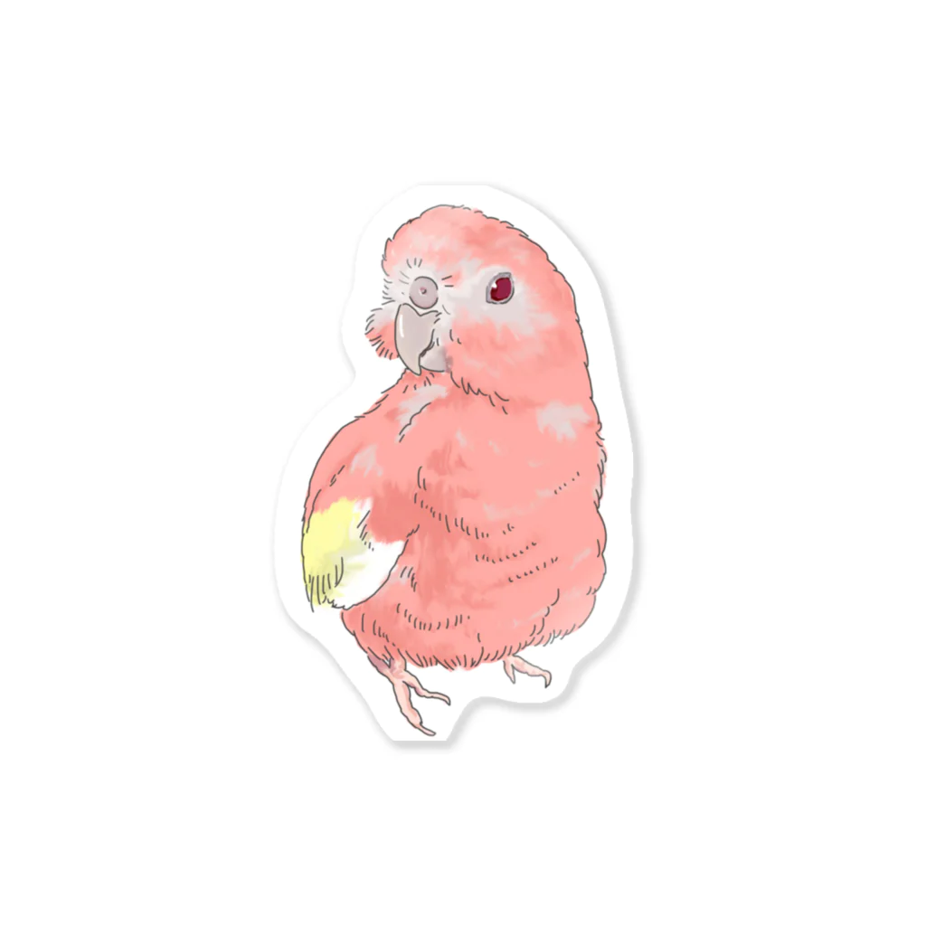 アキクサインコのチャムのアキクサインコのチャム（ドヤ） Sticker