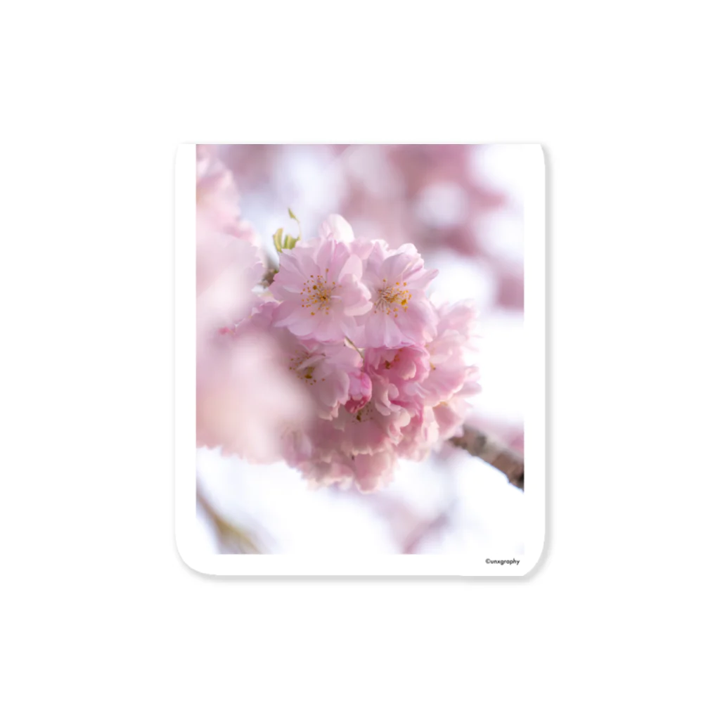 unxgraphyのSAKURA 1 Sticker