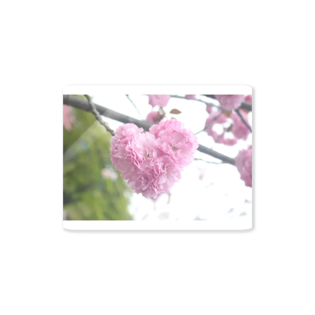 yumiの桜のハート ステッカー