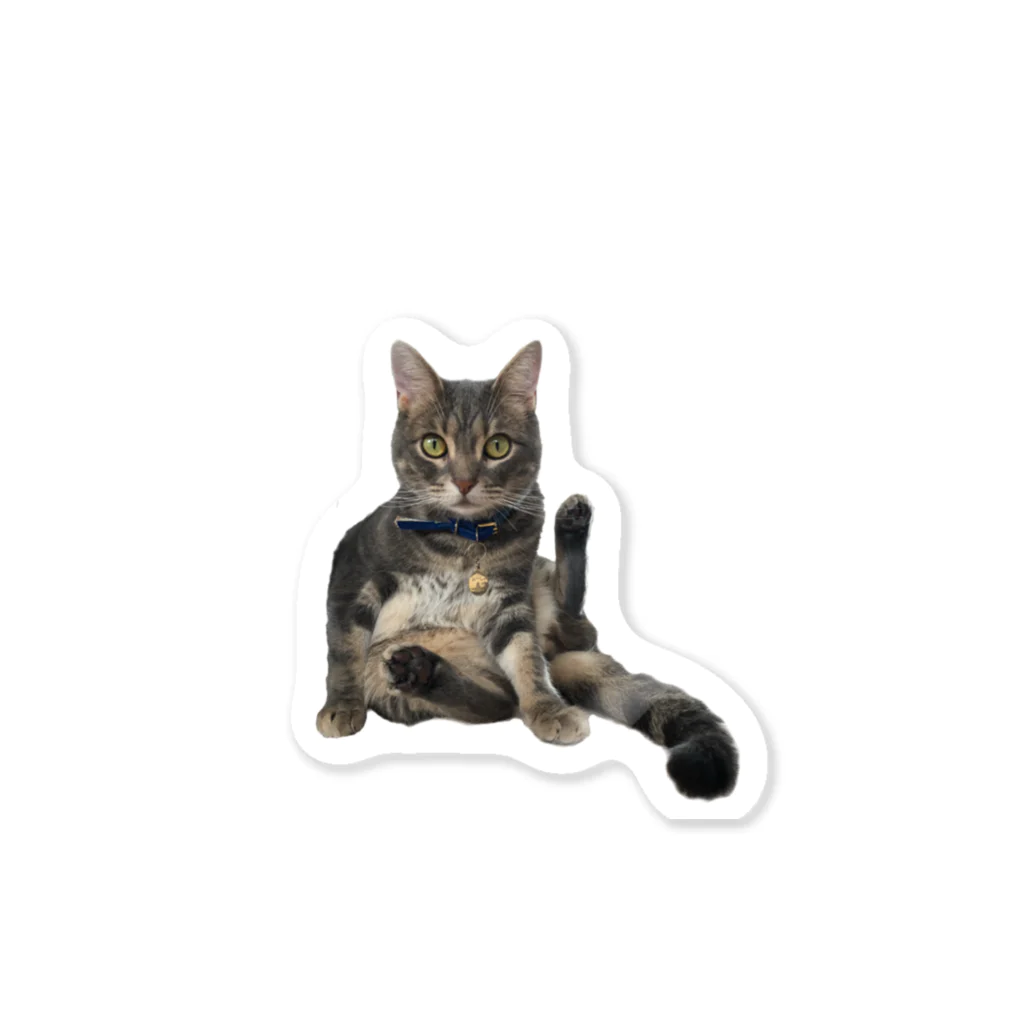 なかたです。のうちのお猫様 Sticker