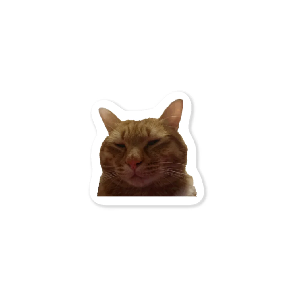 越後ぶーぶーナットのむすっとした猫 Sticker