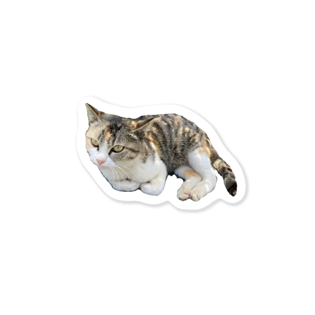 ダンデライオンの猫ステッカー Sticker