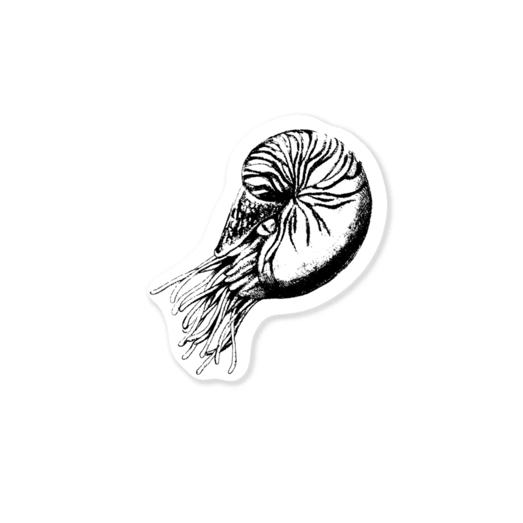 あおちゃん商会のオウム貝（モノクロ） Sticker