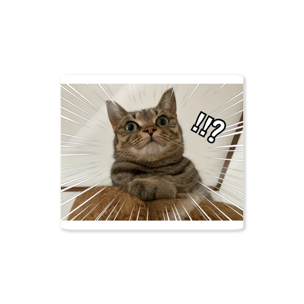 猫藤の猫藤家のキジ猫嬢 Sticker