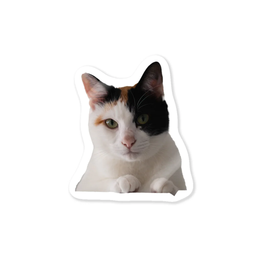 Four Cat EyesのMIKENEKO Sticker