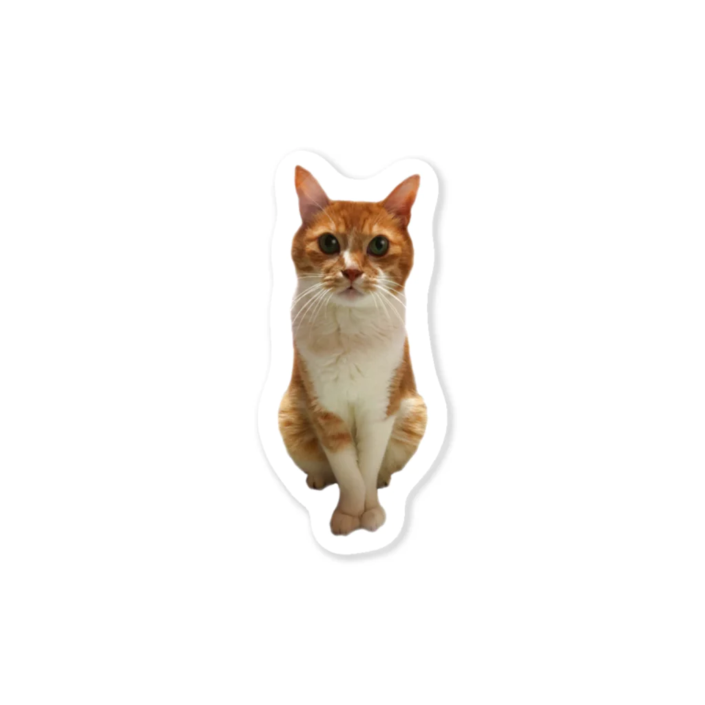 mazicaruayanyanのおじじ猫 Sticker