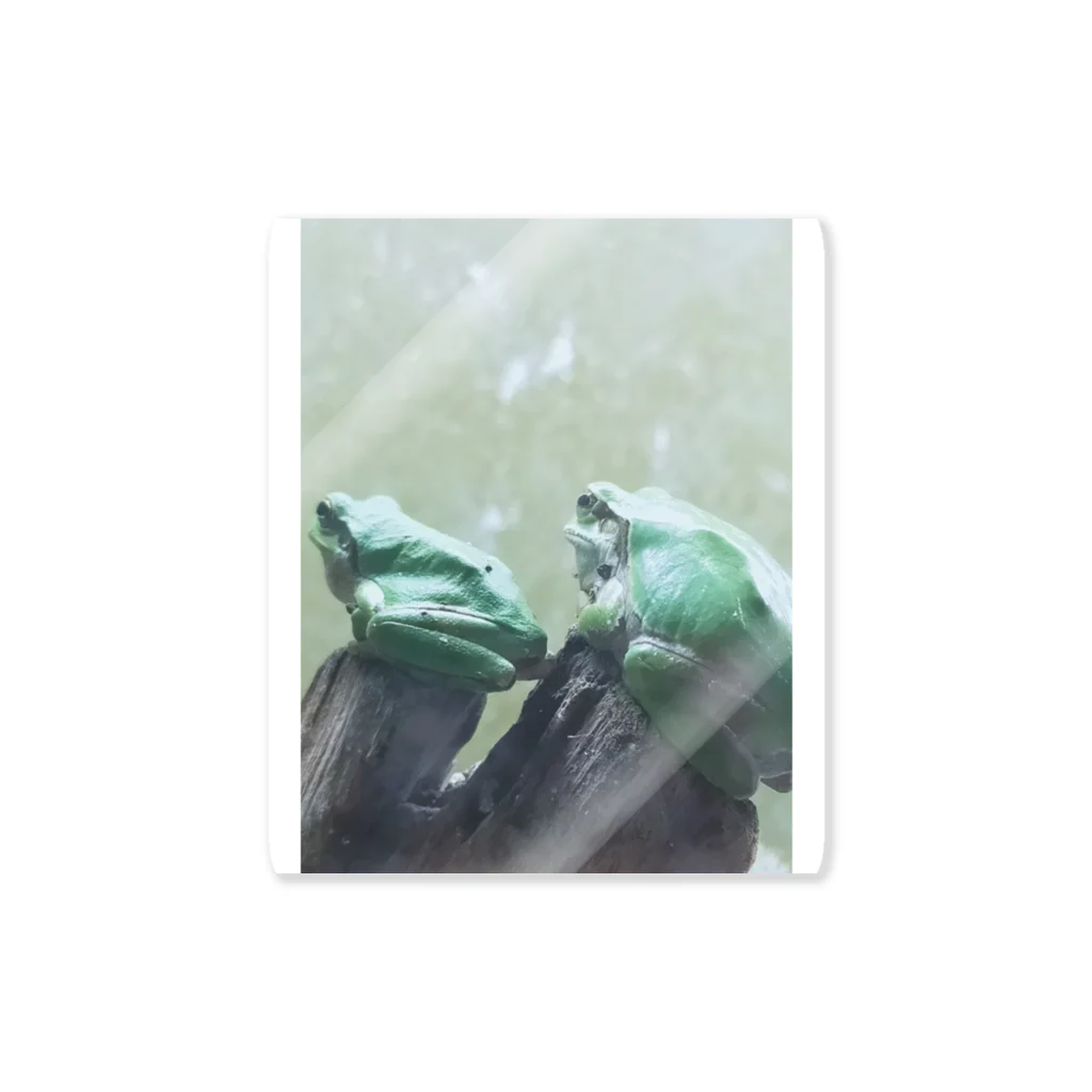 束月ハオルチアのうちのカエルの背ツイン Sticker