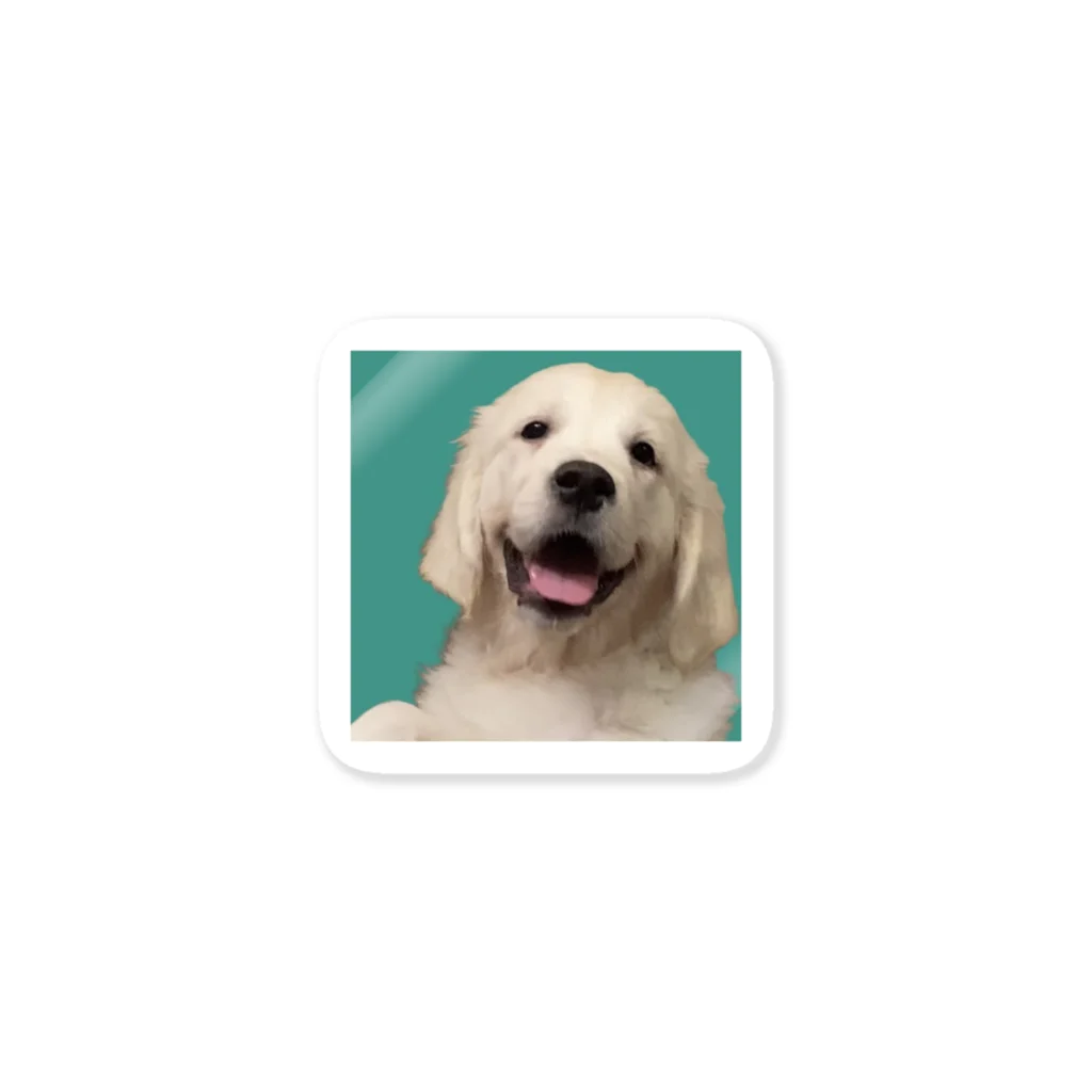 seaの犬 ゴールデンレトリバー にっこり Sticker