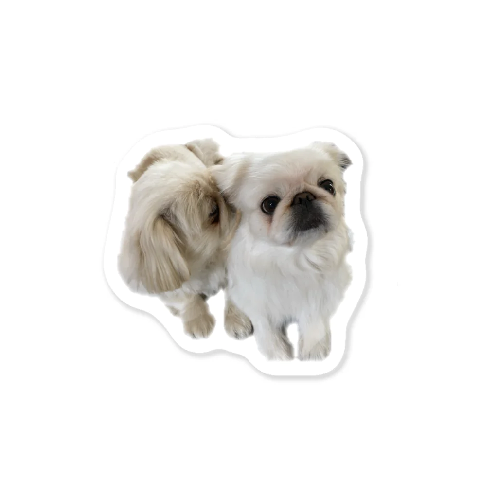 ペキ&シーのペキニーズ犬　すもも&こむぎ Sticker