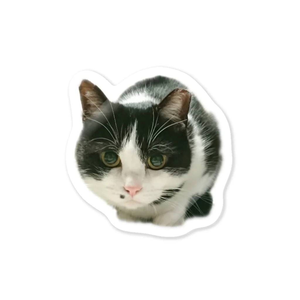 胸毛ハート猫の丸目のさしみ Sticker