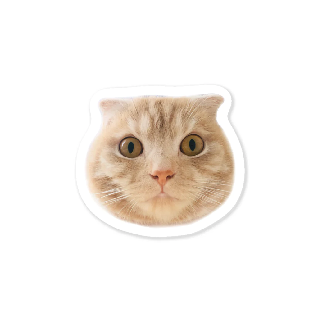 ～癒しの猫暮らし～の甘えんぼ猫ポテト Sticker