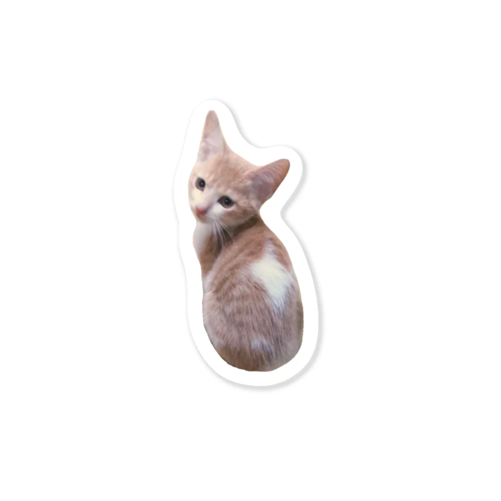 ショコ洋裁店の🔸猫 Sticker