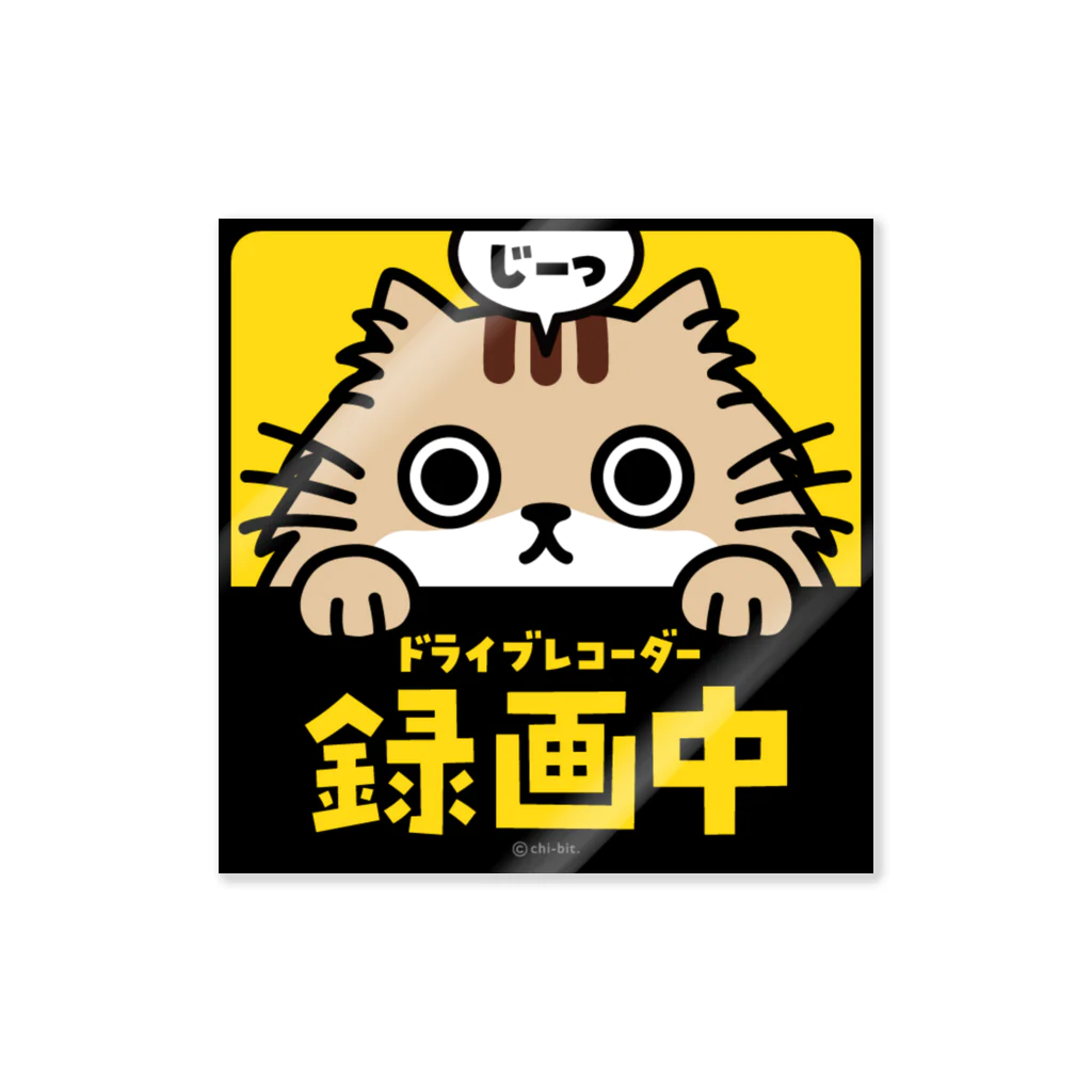 chi-bitのじーっとみる猫・ドライブレコーダー録画中！（クリームトラ・長毛） ステッカー