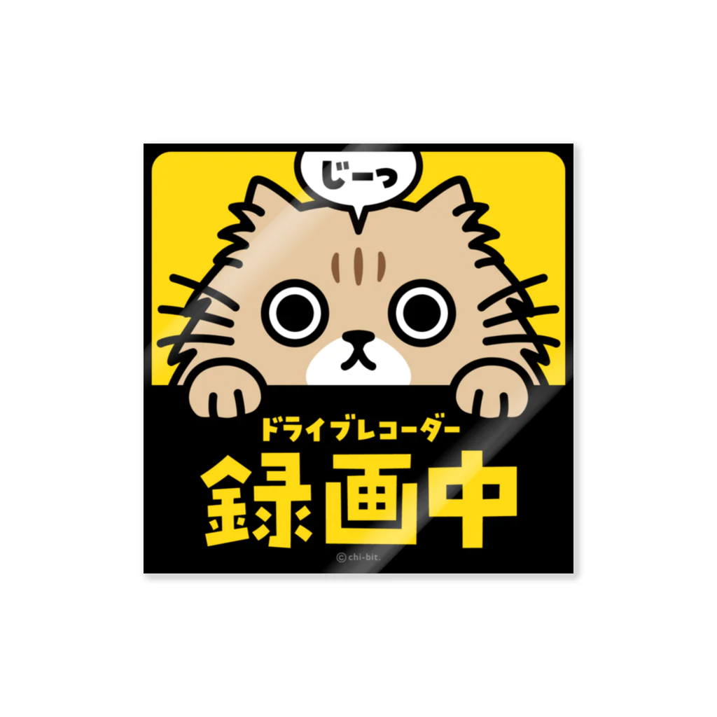 ドライブレコーダー トップ 猫 ステッカー