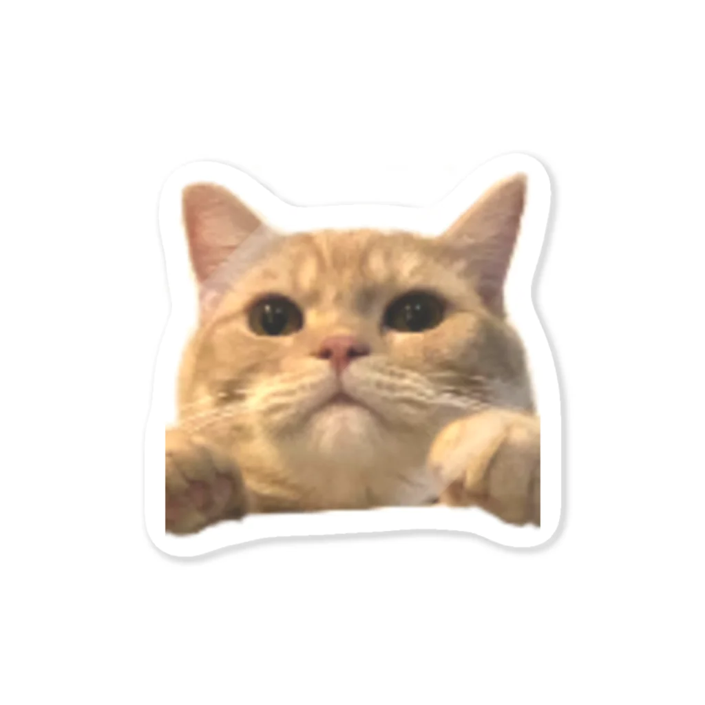 はぐれにくきゅうのなんともいえないかおのねこ Sticker