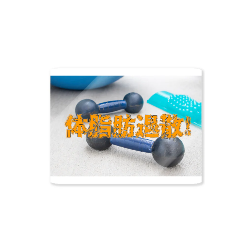 fotografinkatjaの体脂肪退散！ Sticker
