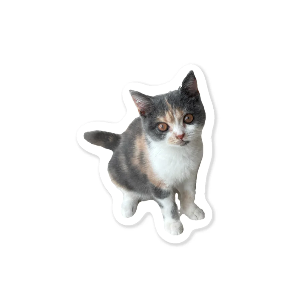 ねこのジゼルのキュートフェース（背景なし） Sticker