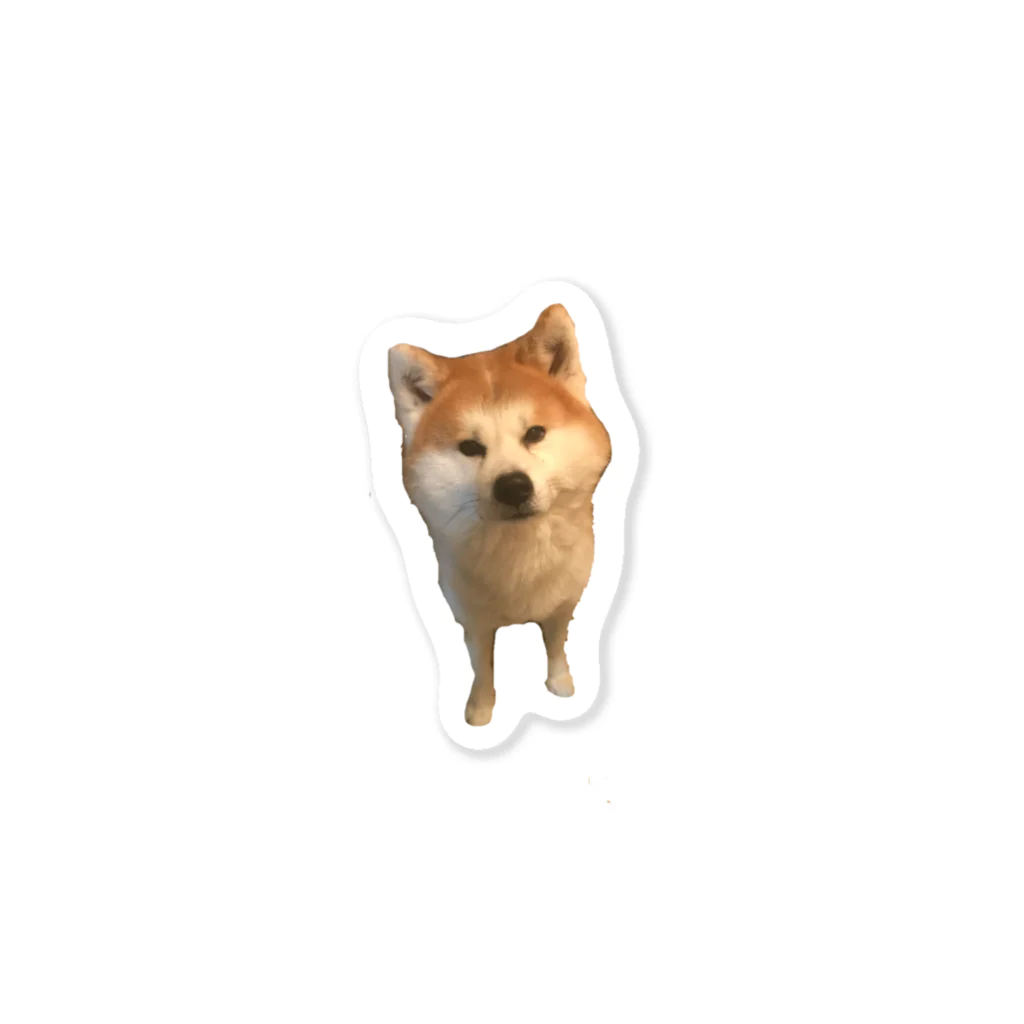リオママの秋田犬 Sticker