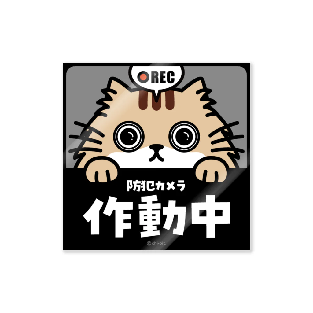 chi-bitのじーっとみる猫 [REC]・防犯カメラ作動中！（チンチラゴールデン） Sticker