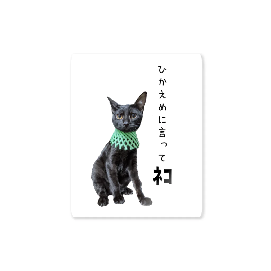 nekoinuitachi-kaori保護猫 TNRなどのひかえめに言ってねこ Sticker