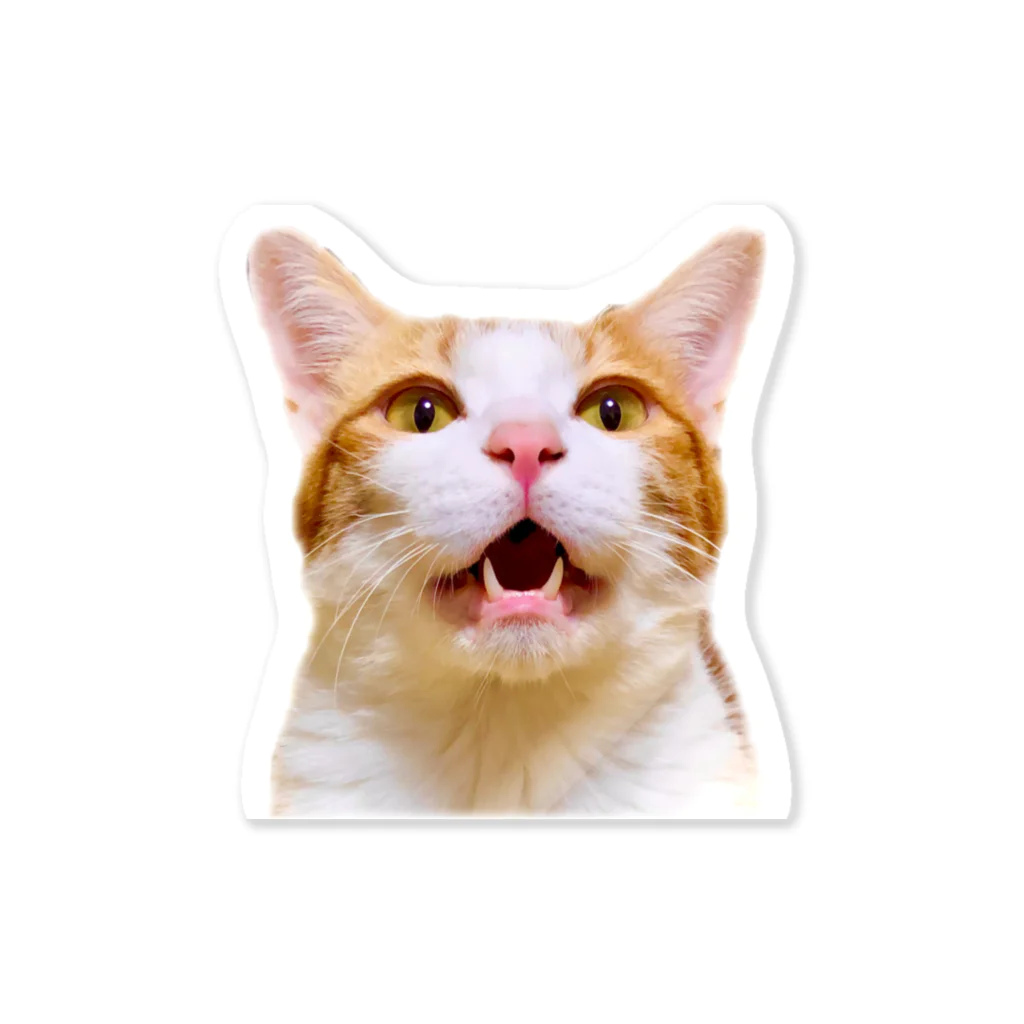 ฅ猫好き薬剤師⌬ けんたろう SHOP໒꒱のどあっぷ 可愛い むぎ 鳴き顔 ステッカー