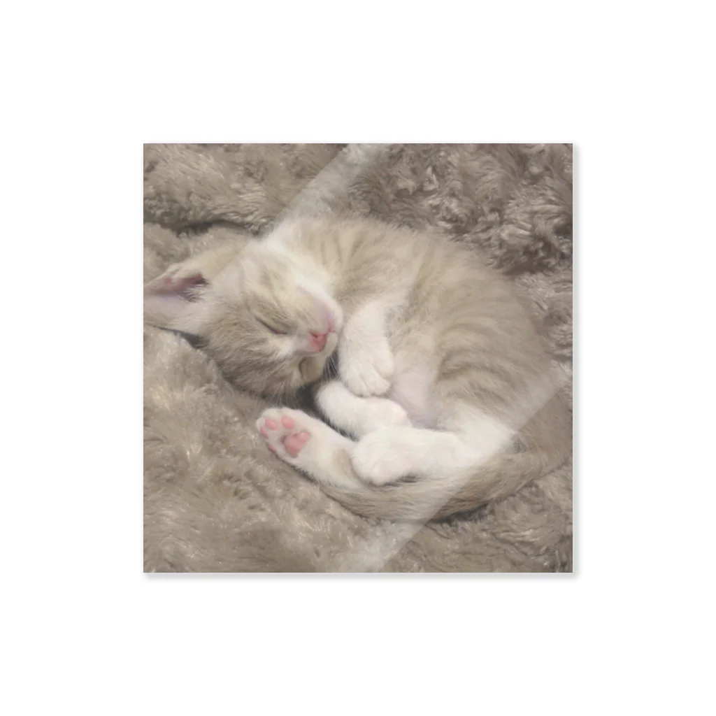 ショコ洋裁店の猫のミルコ💤 Sticker