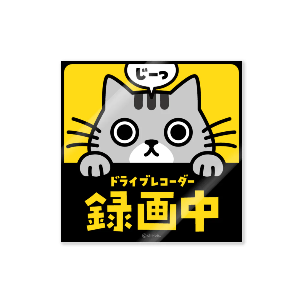 chi-bitのじーっとみる猫・ドライブレコーダー録画中！（サバシロ） 스티커