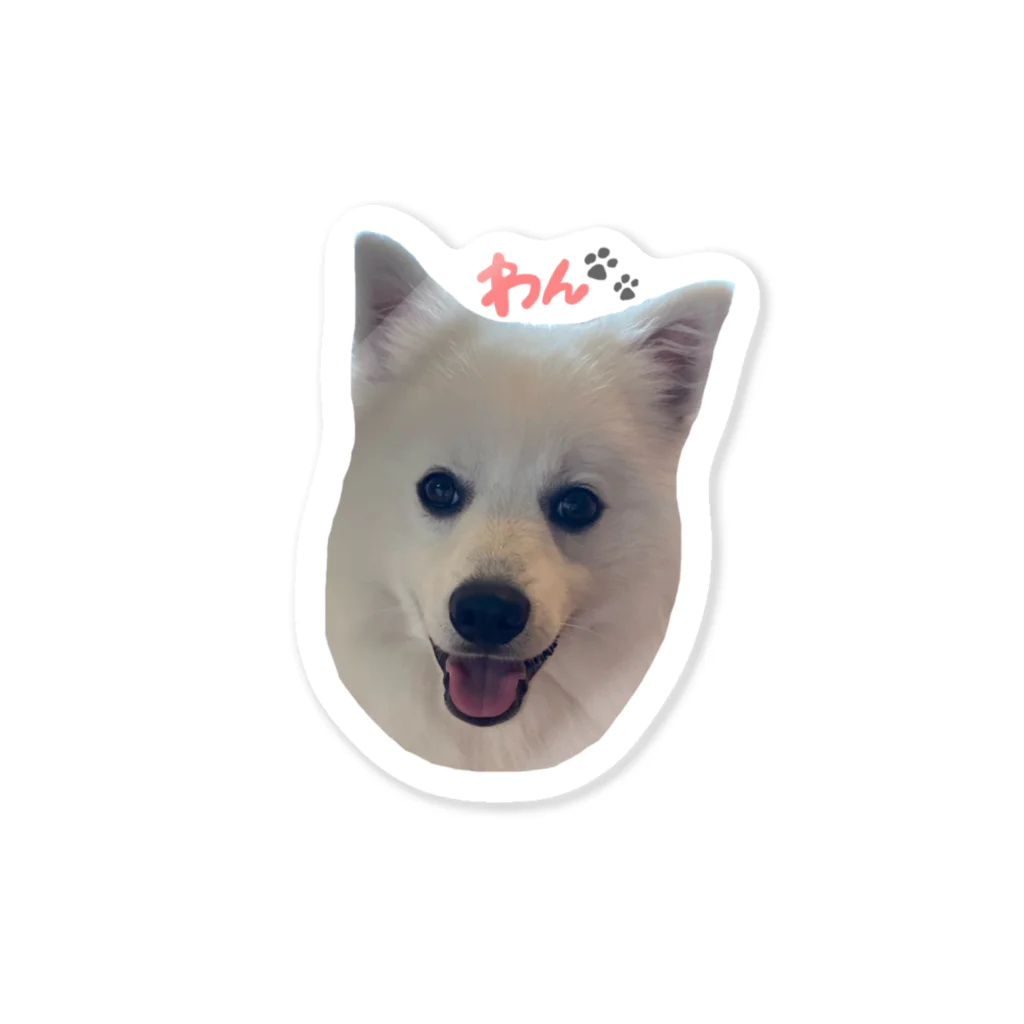 レオ‘sのまだまだ子ども犬レオ Sticker